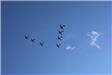 Planes in formation