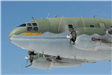 C46 Tinker Belle (2)