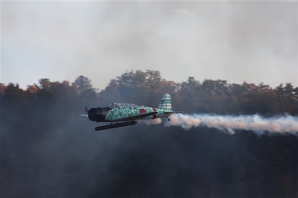 Plane in front of Treeline