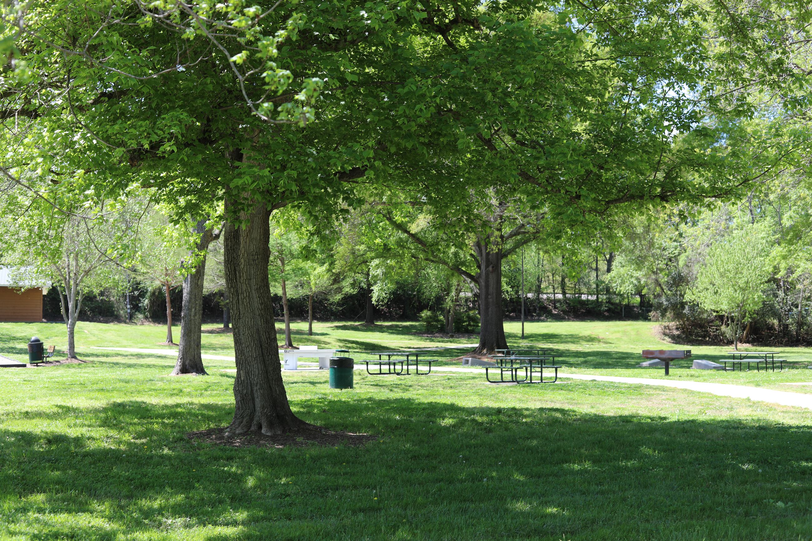 Belk Tonawanda Park Trees and Picnic Area