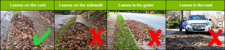 Loose Leaf Collection - What to Do and What Not to Do